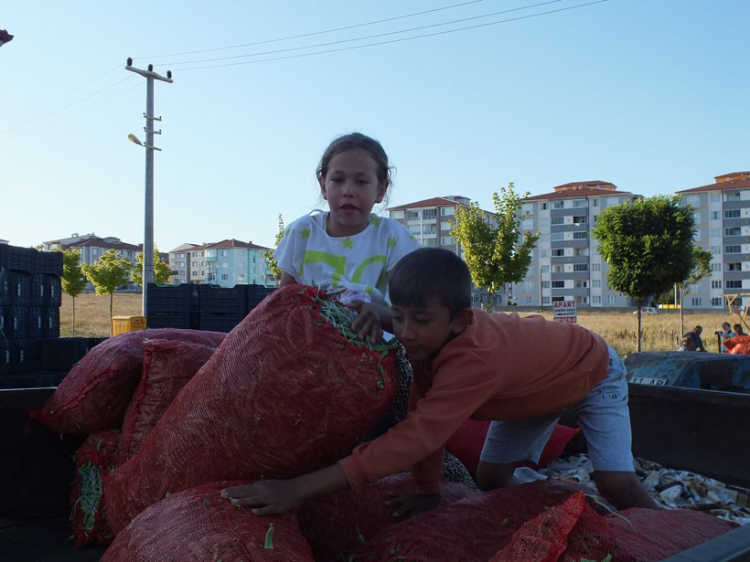 Bu özel fasülye pazarda 15 tarlada 4 lira! Üretici üzgün - Resim: 4