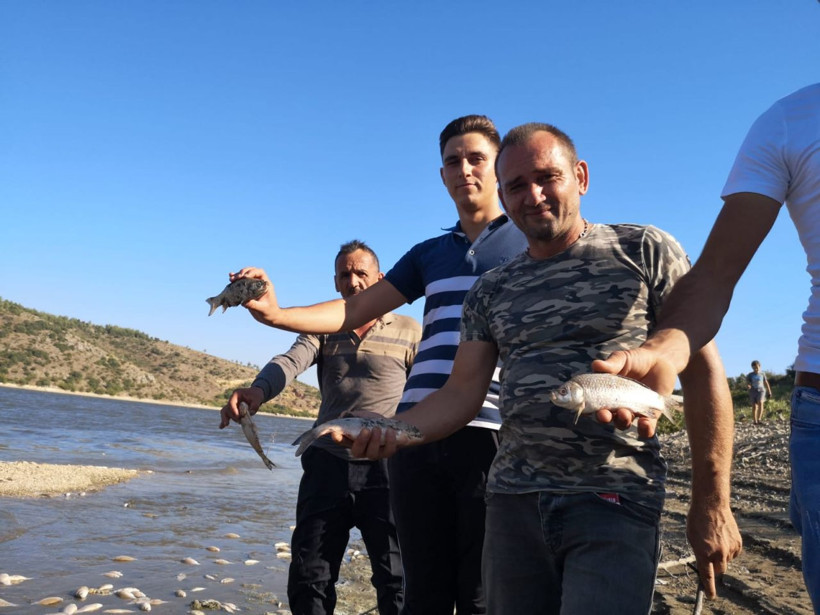 Bursa Boğazköy Barajı'nda kıyıya vuran ölü balıklar tedirgin etti - Resim: 4