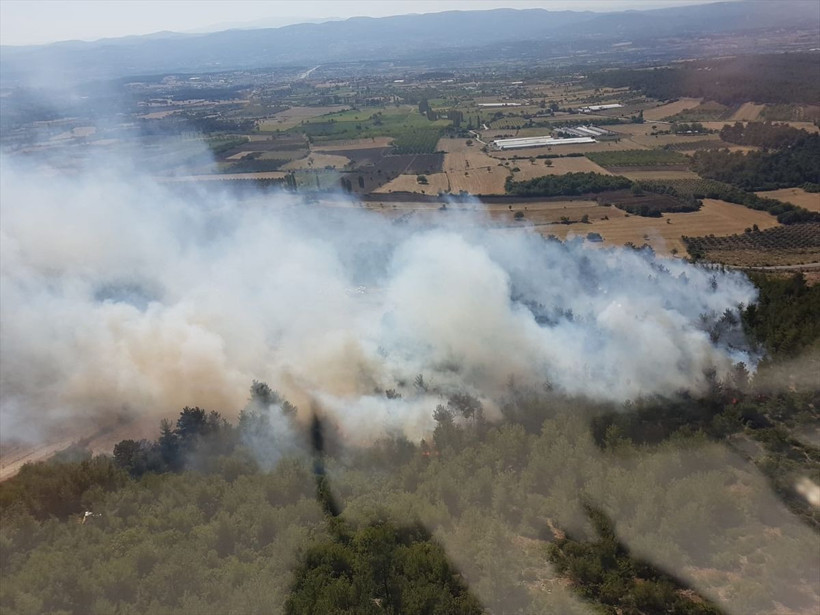 Marmara Adası ve Burgazada'da orman yangını - Resim: 1