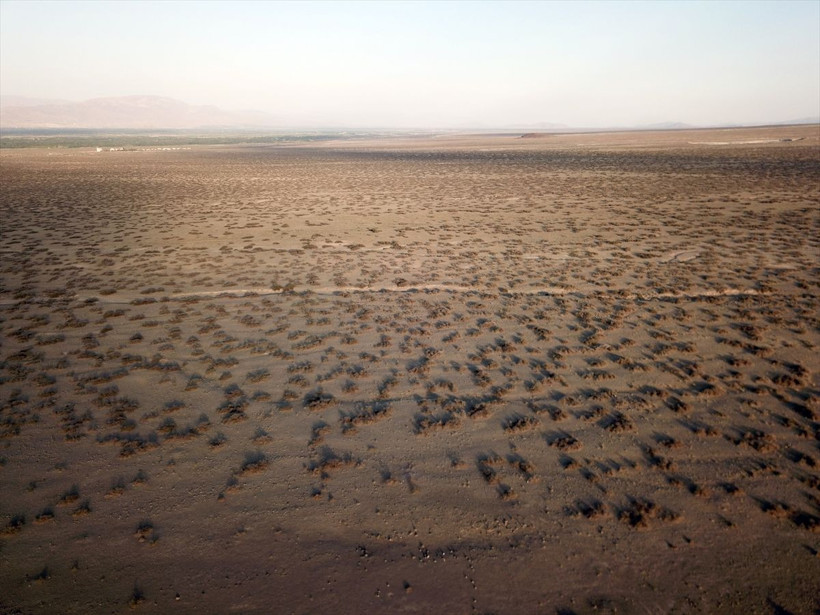 Ağrı Dağı'nın eteklerinde yaşam mücadelesi başladı nesilleri tükenmek üzere - Resim: 1