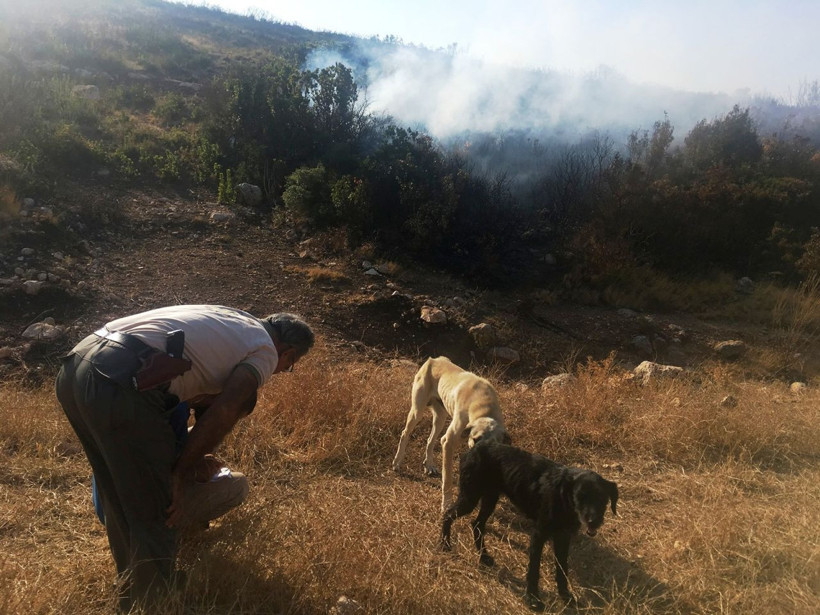 Aydın'da makilik alanı ateşe veren şahıs yakalandı - Resim: 1