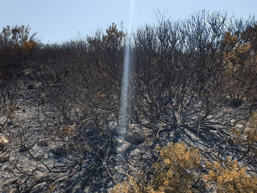 Aydın'da makilik alanı ateşe veren şahıs yakalandı - Resim: 2