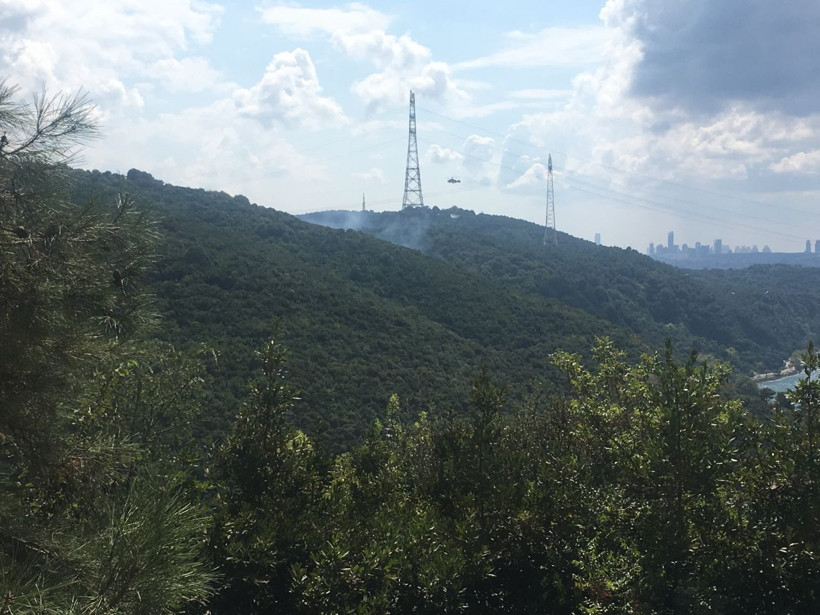 Anadolu Kavağı’nda korkutan orman yangını - Resim: 1