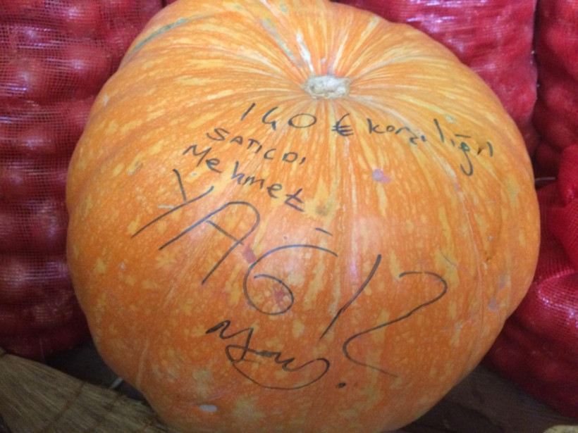 Tam 47 kilogram! Çekirdeğinin tanesi 5 liradan kilogramı ise 5 bin liradan satılıyor - Resim: 2