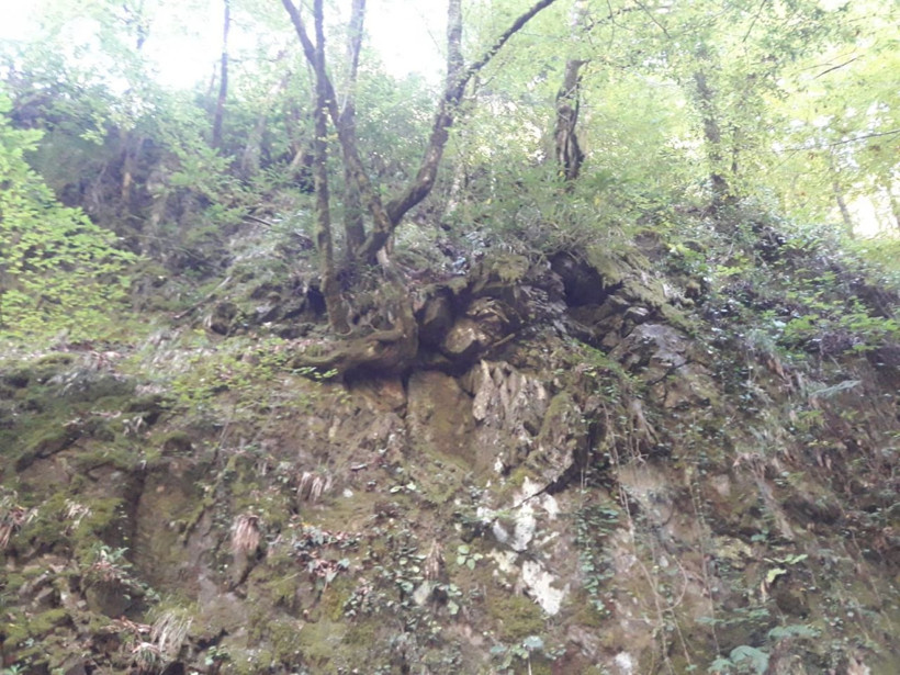 Sakarya'da kestane toplarken kayalıklardan yuvarlanan baba öldü oğlu yaralı - Resim: 4