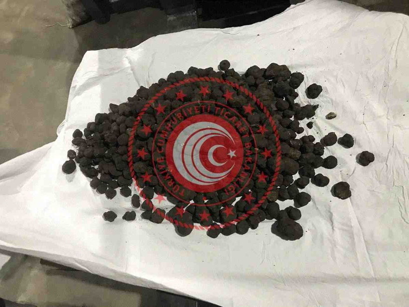 Ticaret Bakanlığından trüf mantarı ihalesi - Resim: 2