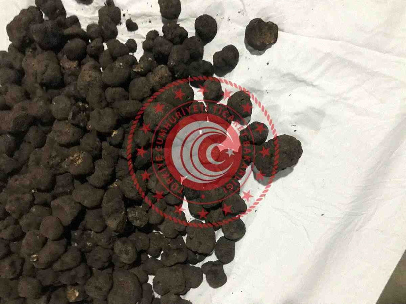 Ticaret Bakanlığından trüf mantarı ihalesi - Resim: 3