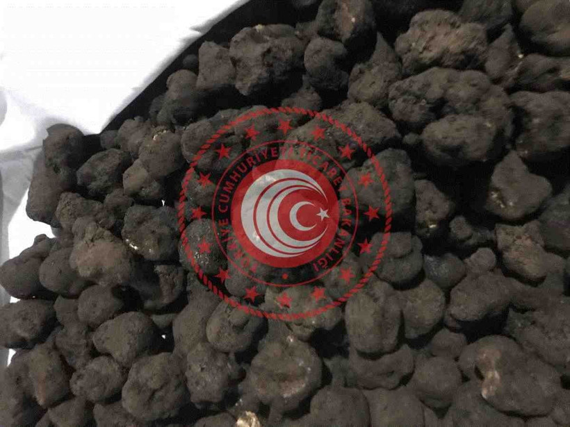 Ticaret Bakanlığından trüf mantarı ihalesi - Resim: 4