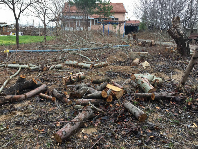 Tayin edildiğini öğrenen imamın yaptığı mahalleliyi şaşkına çevirdi - Resim: 2