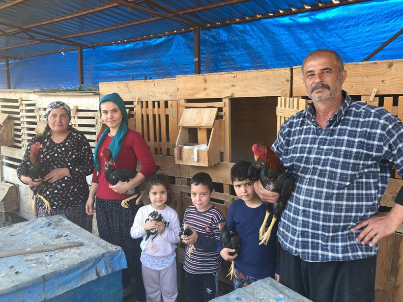 Çiftliğini Adana'da kurdu üniversiteli gelinleriyle ayda 30 bin lira kazanıyor - Resim: 3