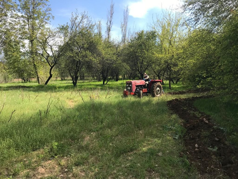 Adıyaman'da bahçesini süremeyen yaşlı kadının yardımına jandarma yetişti - Resim: 2