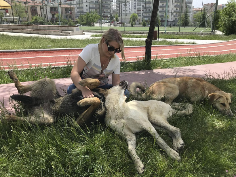 Ankara'da köpek besliyor diye kadına soğan patatesle saldırdılar - Resim: 2
