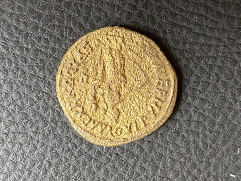 Bursa'da çiftçi tarlasında buldu apar topar yetkililere götürdü - Resim: 4