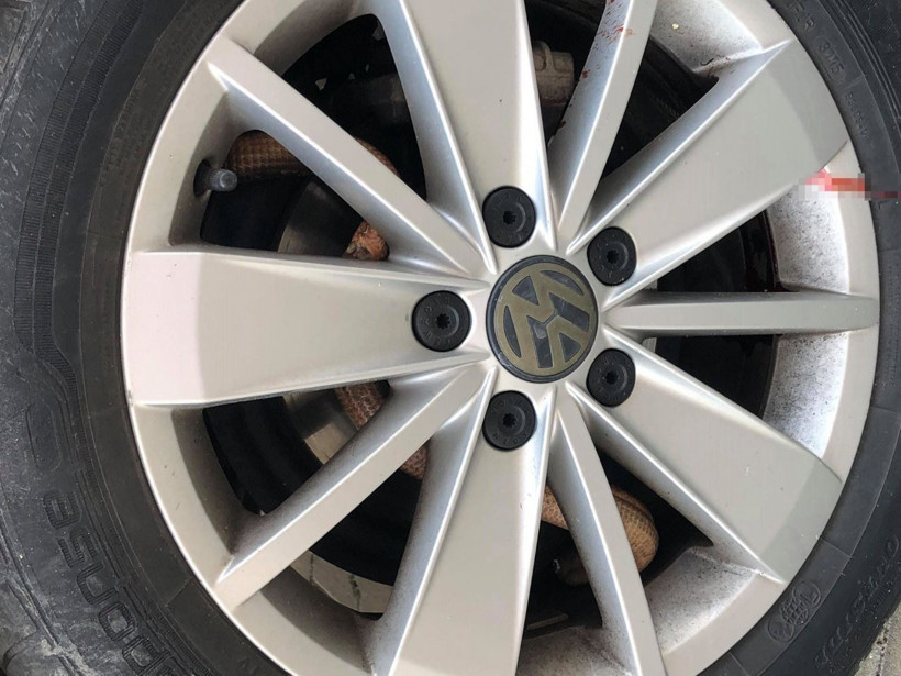 Tekirdağ'da otomobilin jantından çıktı herkes yılan sandı bakın ne çıktı! - Resim: 4