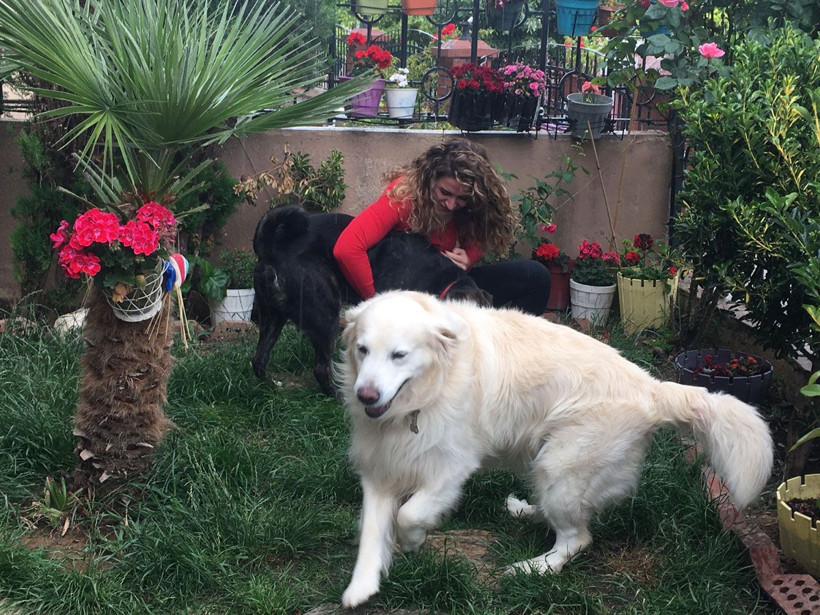 Çengelköy'de dehşet! Oyuncu Gamze Topuz'un köpeklerine yapılan şeye bakın - Resim: 3