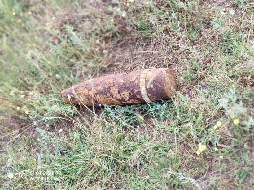 Tekirdağ'da çoban koyunları otlatırken buldu şoka girdi - Resim: 4