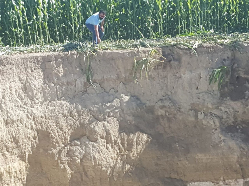 Konya'da tarlayı sularken gördü çok büyük ve korkunç - Resim: 1
