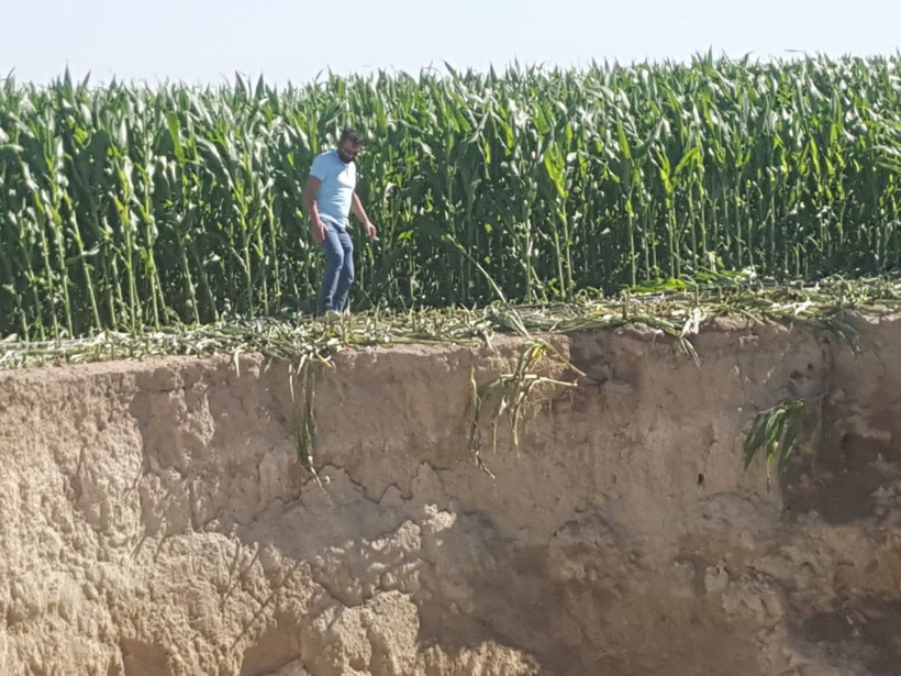 Konya'da tarlayı sularken gördü çok büyük ve korkunç - Resim: 2