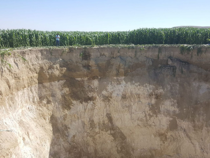 Konya'da tarlayı sularken gördü çok büyük ve korkunç - Resim: 4