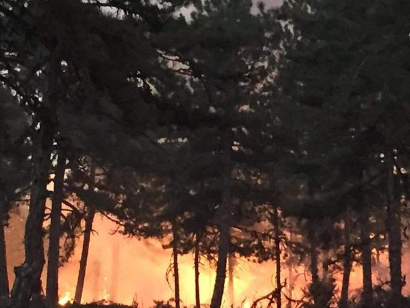 Ankara'da orman yangını! Saatler sonra söndürüldü - Resim: 2