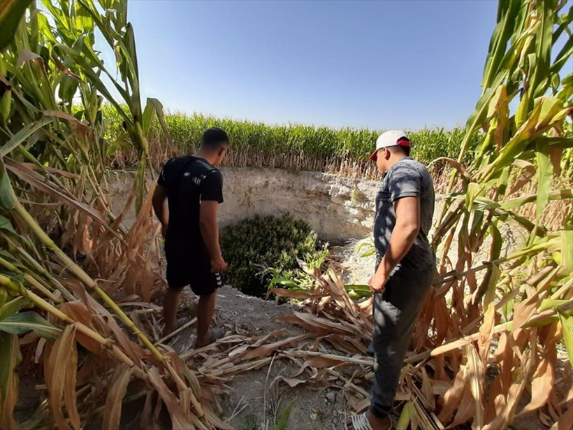 Konya'da tarlada çalışırken bir anda gördü çok büyük ve korkutucuydu - Resim: 3