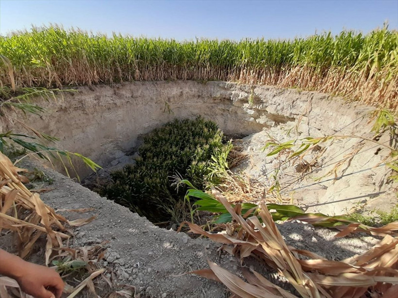 Konya'da tarlada çalışırken bir anda gördü çok büyük ve korkutucuydu - Resim: 4