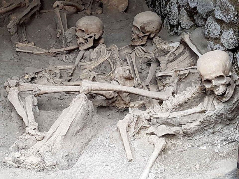 İtalya’da 2 bin yıl önceye ait kafatasından sağlam beyin hücresi keşfedildi - Resim: 1