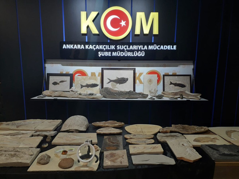 Ankara'daki Adnan Oktar'ın iki evinden çıktı 150 milyon yıllık değeri 10 milyon dolar - Resim: 1