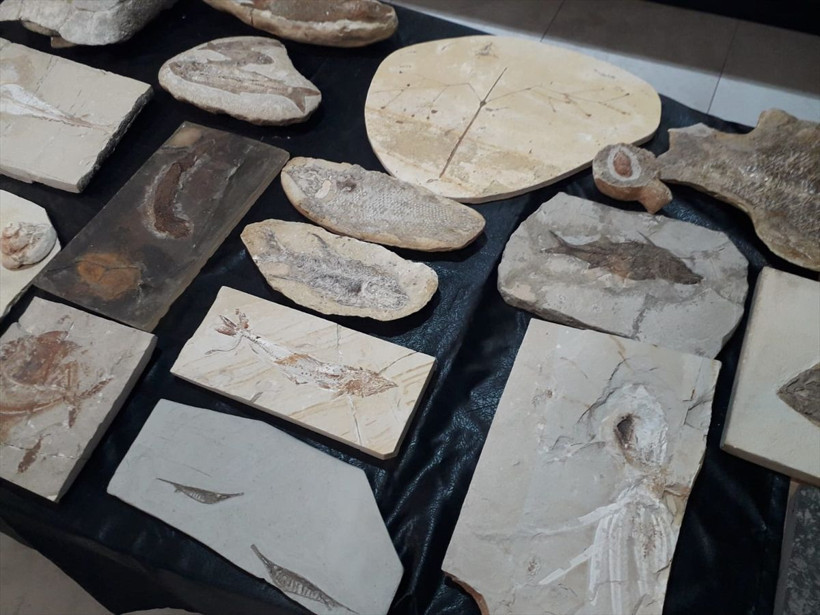 Ankara'daki Adnan Oktar'ın iki evinden çıktı 150 milyon yıllık değeri 10 milyon dolar - Resim: 2