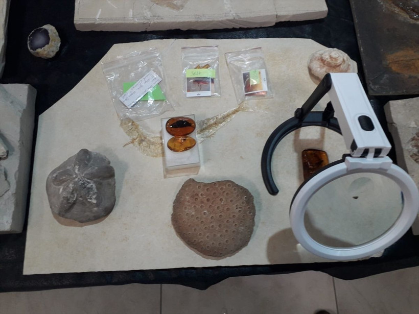 Ankara'daki Adnan Oktar'ın iki evinden çıktı 150 milyon yıllık değeri 10 milyon dolar - Resim: 3