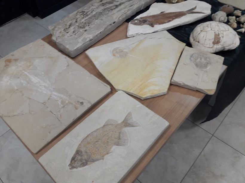 Ankara'daki Adnan Oktar'ın iki evinden çıktı 150 milyon yıllık değeri 10 milyon dolar - Resim: 4