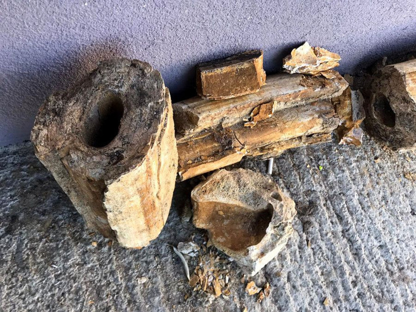 Edirne'de köylüler buldu 8 milyon yıllık çıktı - Resim: 3