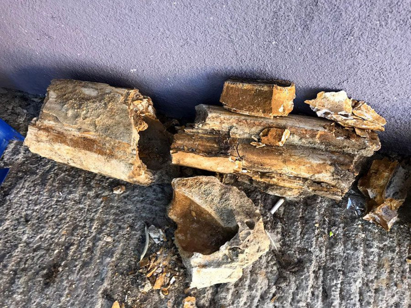 Edirne'de köylüler buldu 8 milyon yıllık çıktı - Resim: 4