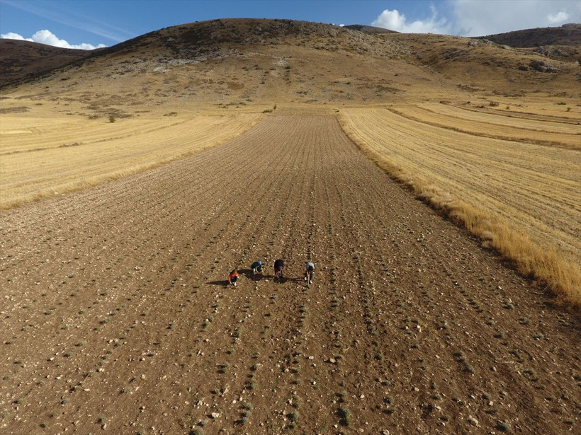 ABD'de öğretim üyesiydi Burdur'da köyüne dönüp bu işi yapmaya başladı! Geliri çok yüksek - Resim: 2
