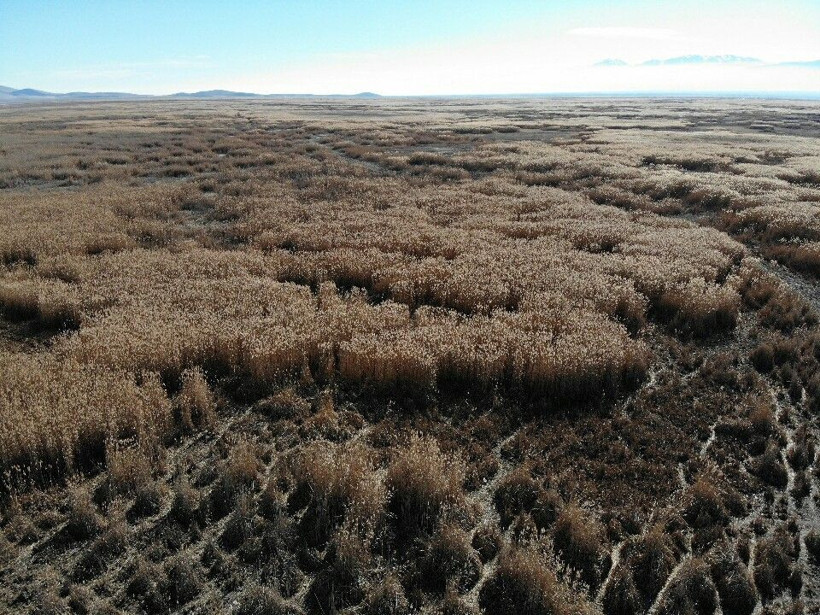 Afyonkarahisar'da ürkütücü görüntü! Tehlike çanları çalıyor 4 kilometre çekildi - Resim: 2