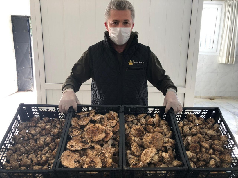 Çinliler yapamadı! Japonlar Adana'dan taneyle alıyor fiyatı dudak uçuklattı - Resim: 1