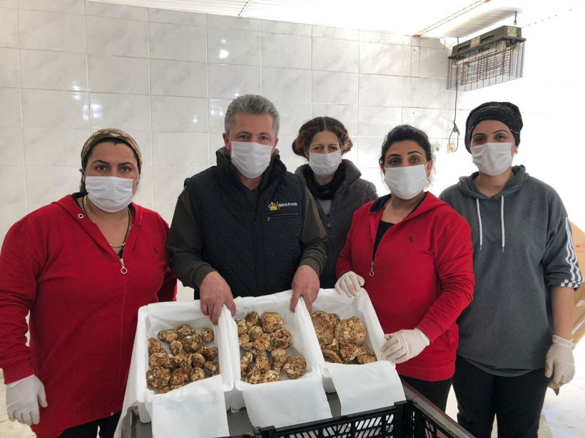 Çinliler yapamadı! Japonlar Adana'dan taneyle alıyor fiyatı dudak uçuklattı - Resim: 3