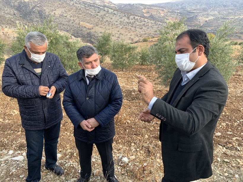 Bu yıl ilk kez yaptı! Adıyaman'da fiyatını duyan inanamadı yok satıyor - Resim: 4