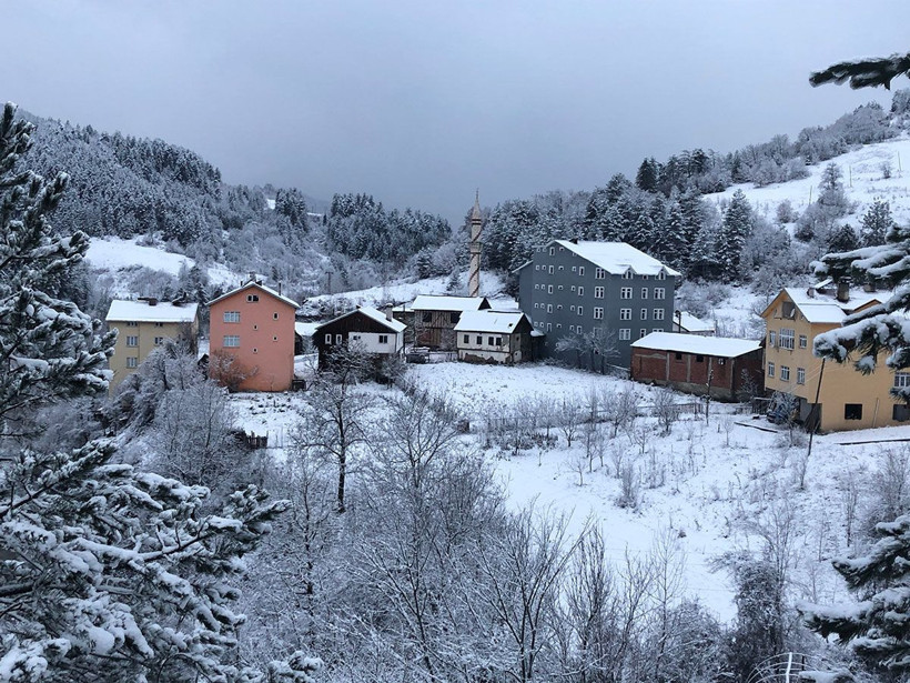 Kastamonu'da 1200 nüfuslu 18 köye koronavirüs hiç giremedi! Sopayla ev ev gezip... - Resim: 2