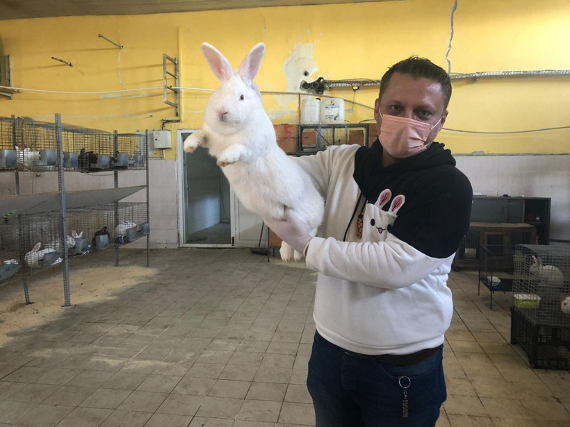 Adana'da öğretmenliği bırakıp bu işe başladı siparişlere yetişemiyor - Resim: 1