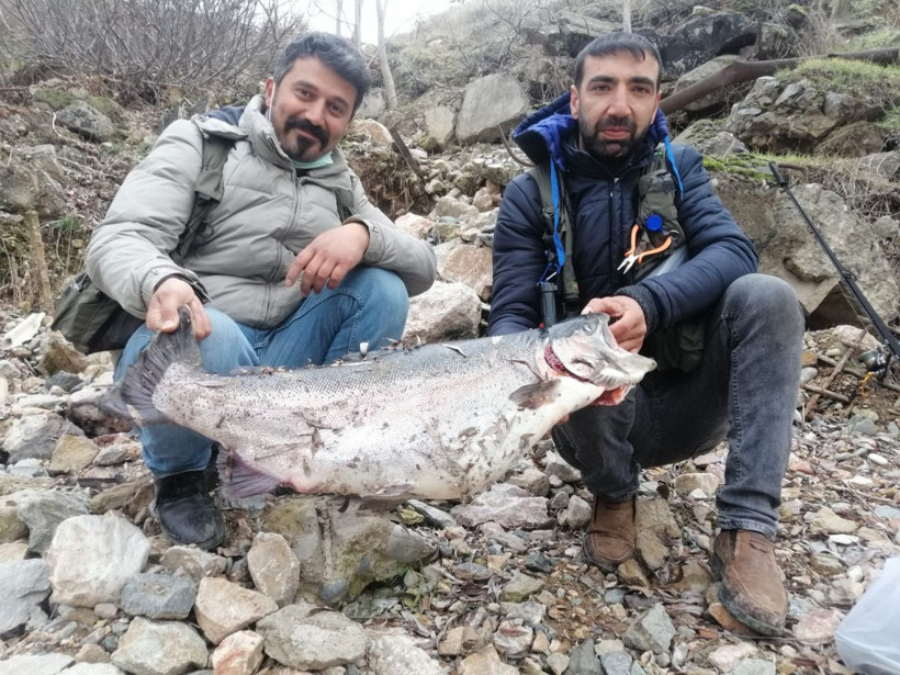  Türkiye ve Avrupa'nın en büyük alabalığı Elazığ'da olta ile yakalandı! Tam 115 santim - Resim: 3