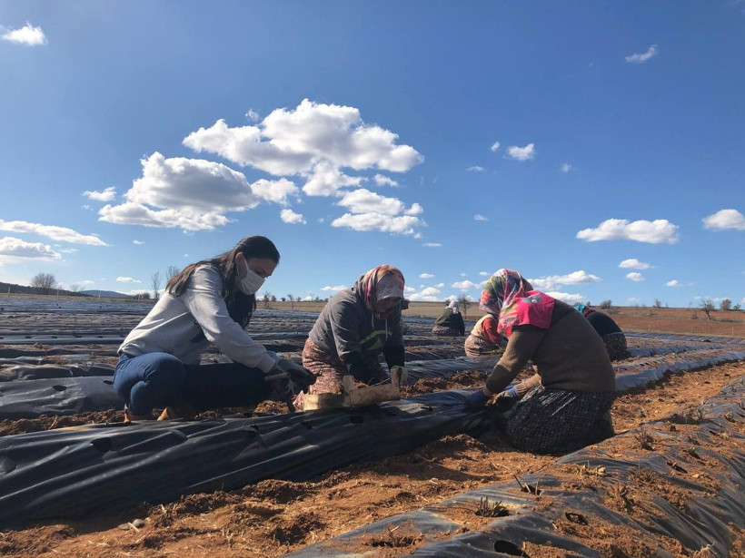 İstanbullu gelin korona salgınında evde oturmaktan sıkılınca bu işe başladı! Şimdi ihracat yapıyor - Resim: 2