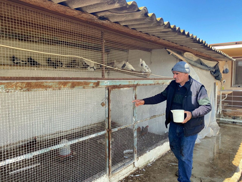 İzmir'de İran tavuğundan üretiyor talebe yetişemiyor! Hristiyanlar yumurtanın peşinde - Resim: 3