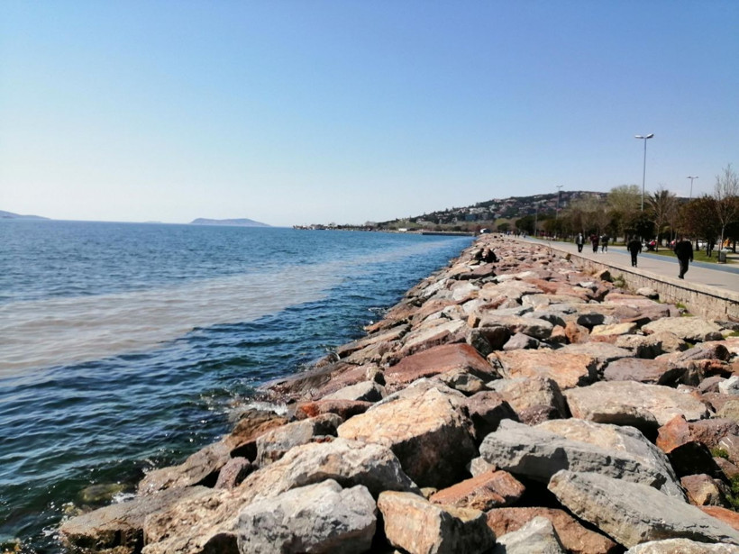 Kartal Sahili'nde endişelendiren görüntü! 'Deniz salyası' sahil boyunu kapladı - Resim: 3