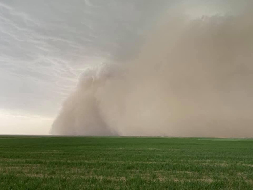 Korkutan görüntü! Konya'da kum fırtınası çıktı ağaçlar, direkler devrildi araçlar hasar gördü - Resim: 3