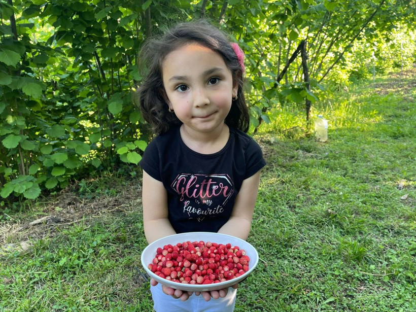 Ordu'da 200 TL'ye satılıyor! 4 saatte bir kilo toplanabiliyor - Resim: 1