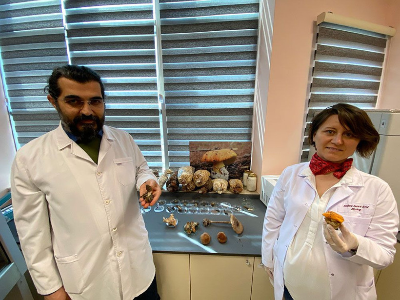  Kilosu 3 bin TL'ye satılıyor üreticisini zengin ediyor! Türkiye'nin 21 şehrinde yetişiyor - Resim: 3