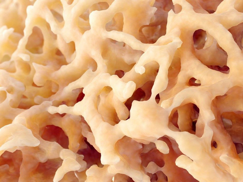 ABD'li bilim insanlarından iyi haber: Hafif Covid-19'dan sonra bir ömür boyu antikor üretilebilir - Resim: 3