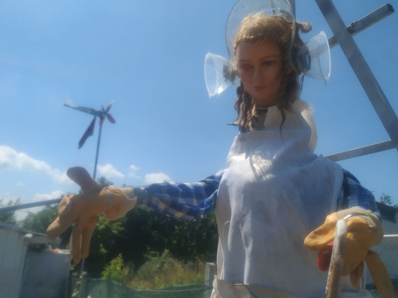 Sivas'ta kargaları korkutmak için bahçesine dikti ama gören herkes korkuyor - Resim: 3