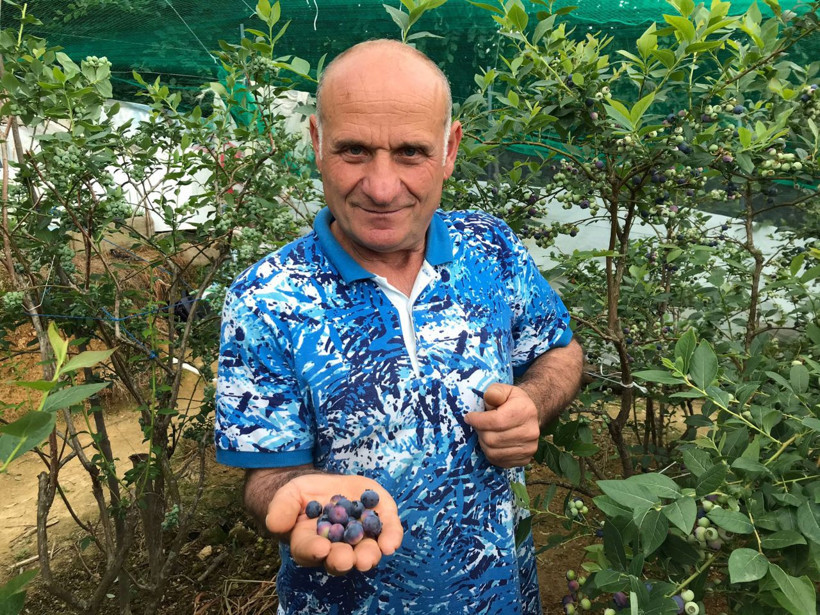 Kilosu 80 TL'den satılıyor Trabzon'da ek gelir olarak ekti yıllık kazancı dudak uçuklattı! - Resim: 2